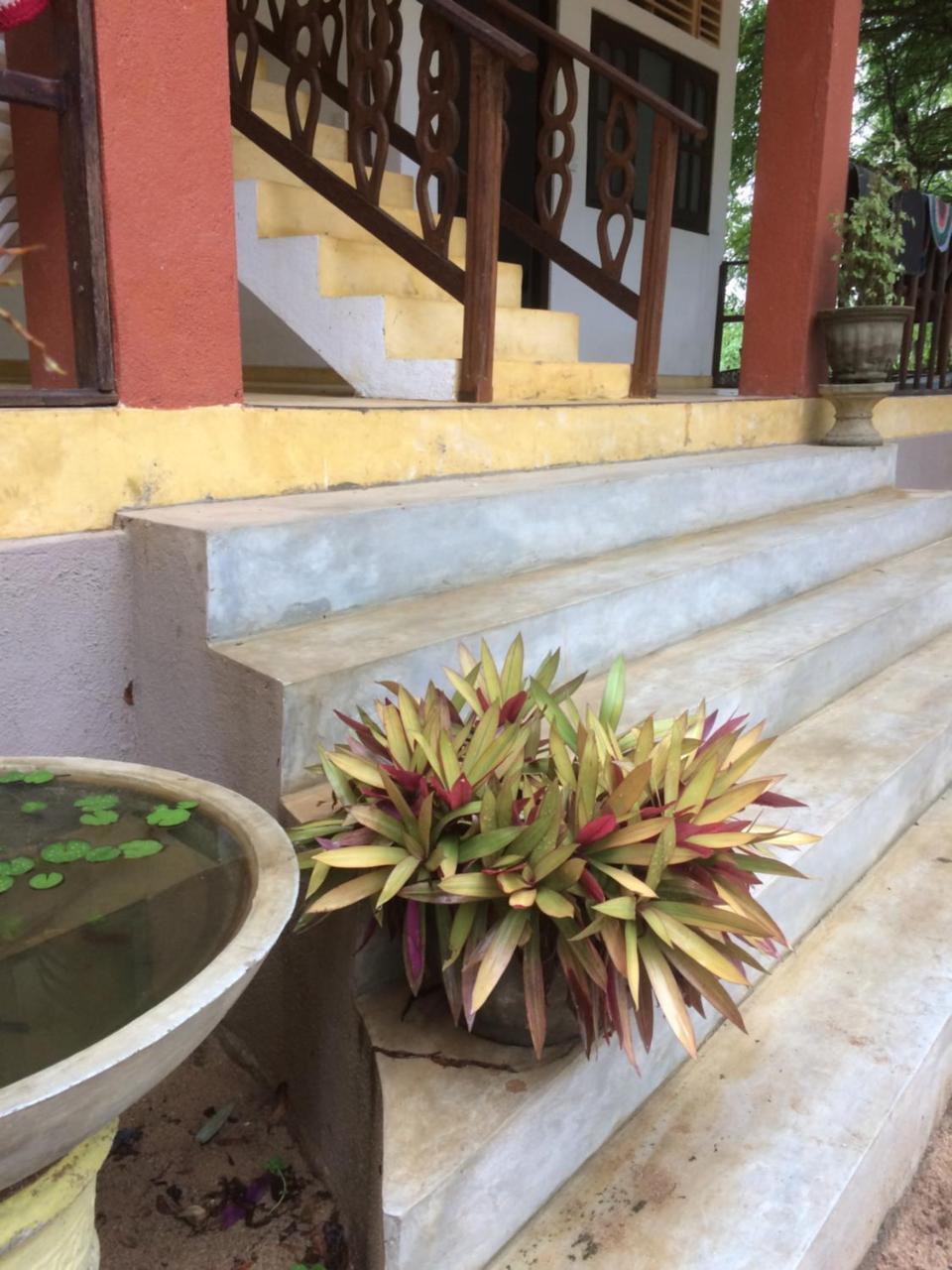 Aloha Beach Resort Tangalle Eksteriør billede