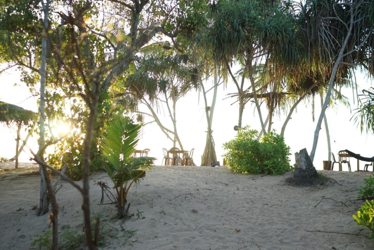 Aloha Beach Resort Tangalle Eksteriør billede